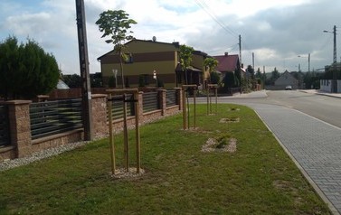 IMG_20201002_131314