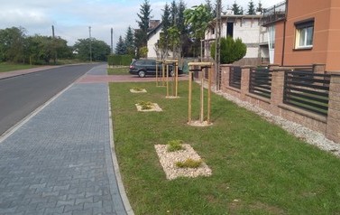 IMG_20201002_131256