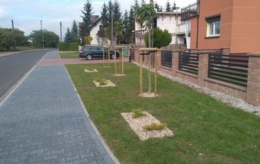 IMG_20201002_131252
