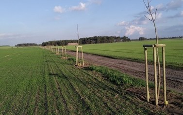 IMG_20201024_160312