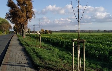 IMG_20201024_160054
