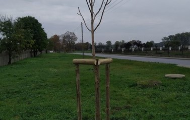 IMG_20201023_114723