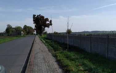 IMG_20201022_132036