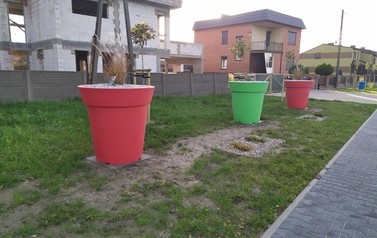 IMG_20201022_084828
