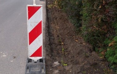 IMG_20201012_100647