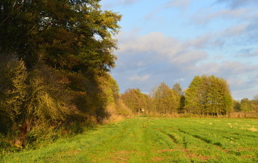 DSC_0205