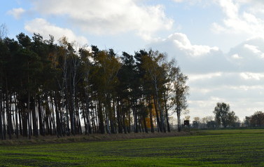 DSC_0181