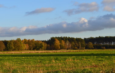 15a