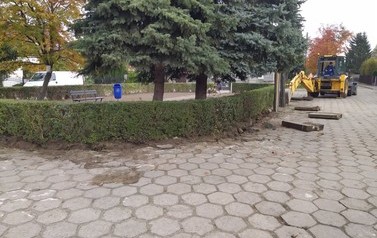 IMG_20201026_105355