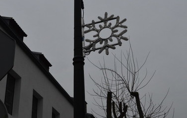 DSC_0205