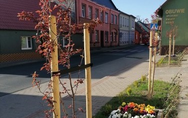 IMG_20210511_075652