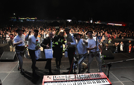 28 Święto Pieczarki w Wielichowie