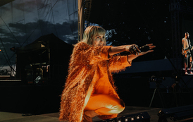 28 Święto Pieczarki w Wielichowie