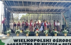 &bdquo;WILKOWIANIE&rdquo; W SIELINKU