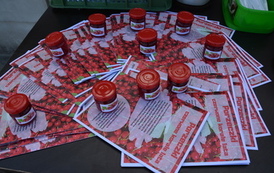 Piknik rodzinny w Trzcinicy