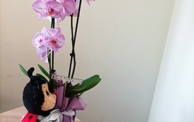 zdjęcia ze spotkania senior&oacute;w