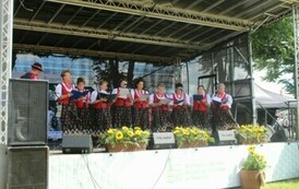 zdjęcia przedstawia koncertujących wilkowian