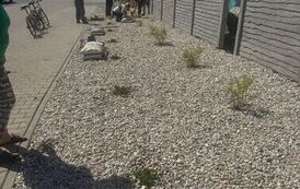 IMG-20260530-WA0004