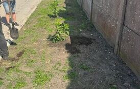 IMG-20260530-WA0003