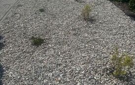 IMG-20260530-WA0002