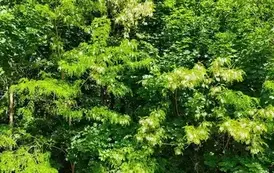 IMG_20260904_113536