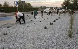11
