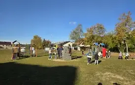 IMG-20261019-WA0005