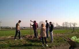 WP_20190407_10_11_36_Pro