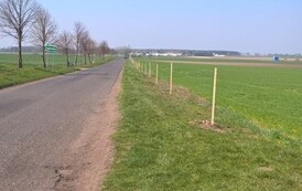 WP_20190407_12_58_25_Pro