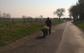 WP_20190407_10_11_21_Pro