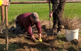 WP_20190407_10_09_41_Pro