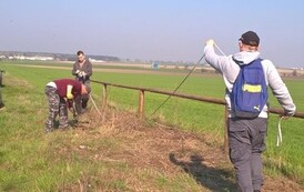 WP_20190407_10_08_23_Pro