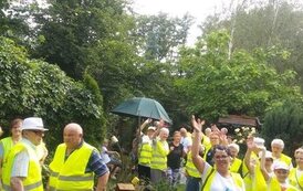 62640787_1447235168734408_5706657719742627840_o