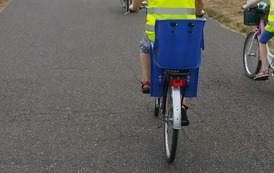 62576356_1447259955398596_5317171234729885696_n