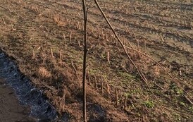 WP_20191031_09_27_35_Pro