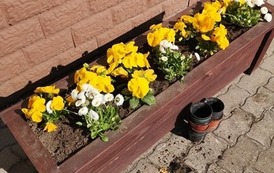 92713608_1616364721850445_8715769699184410624_n