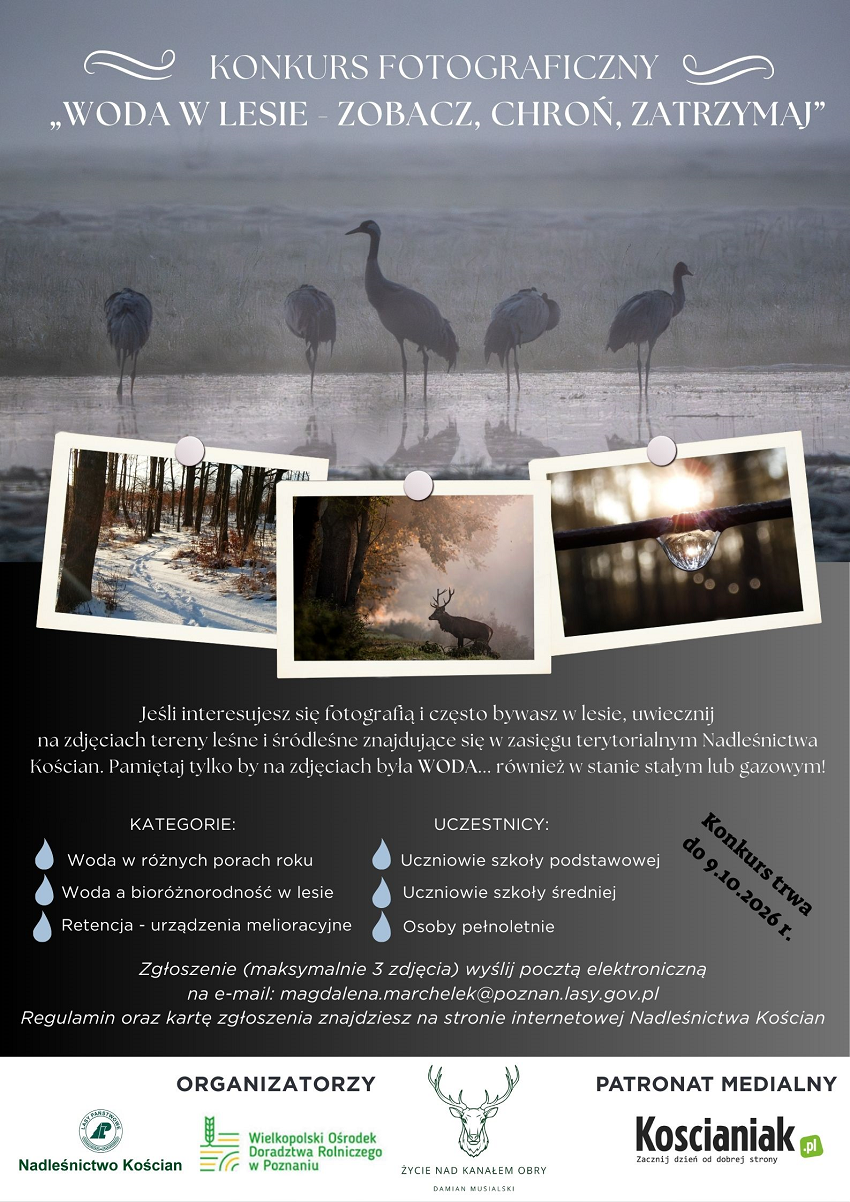 Konkurs fotograficzny &bdquo;Woda w&nbsp;lesie &ndash; zobacz, chroń, zatrzymaj&rdquo;