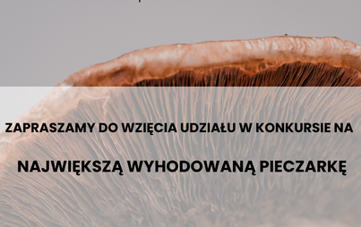 Zdjęcie do Konkurs na &quot;NAJWIĘKSZĄ WYHODOWANĄ PIECZARKĘ&quot;