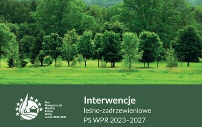 Zdjęcie do Rozpoczęcie naboru wniosk&oacute;w na inwestycje leśne i zadrzewieniowe w ramach Planu Strategicznego Wsp&oacute;lnej Polityki Rolnej 2023&minus;2027