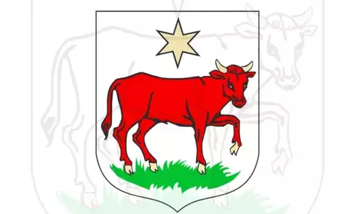 Zdjęcie do Ogłoszenie o I przetargu ustnym nieograniczonym