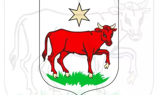 Konkurs na stanowisko dyrektora Szkoły Podstawowej im. Polskich Noblistów w Wielichowie