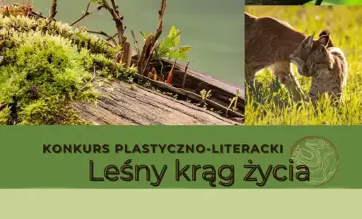 Konkurs plastyczno-literacki „Leśny Krąg Życia” – odkryj tajemnice ekosystemu!