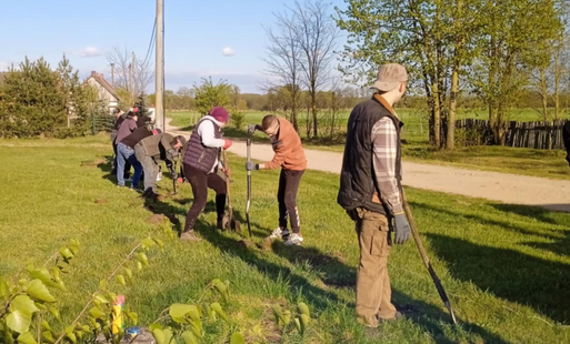 Wspólne nasadzenia w Reńsku – mieszkańcy zadbali o swoją miejscowość