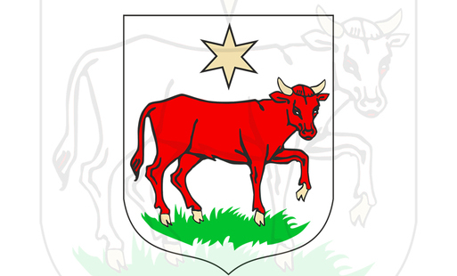 ZARZĄDZENIE NR 34/2026 BURMISTRZA WIELICHOWA z dnia 28 maja 2026 r. w sprawie przedłużenia umowy dzierżawy działki nr 376/1 w Reńsku