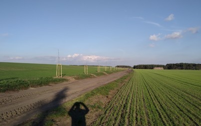 Zdjęcie do Nasadzenia drzew miododajnych na terenie Gminy Wielichowo