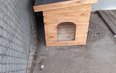 Zdjęcie do Nowe budy w przytulisku dla ps&oacute;w w Wielichowie