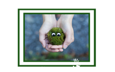 Zdjęcie do Błękitno-zielone inicjatywy dla Wielkopolski