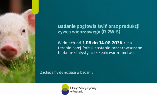 GUS - Badanie pogłowia świń oraz produkcji żywca wieprzowego R-ZW-S