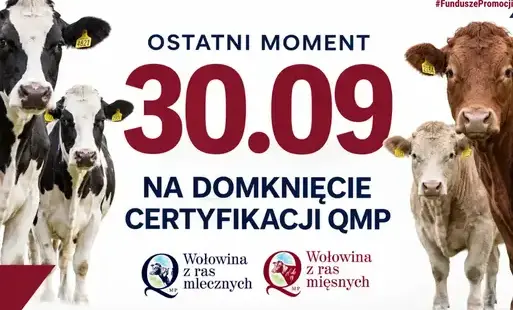 Certyfikat QMP — termin uzyskania upływa 30 września 2026 r.