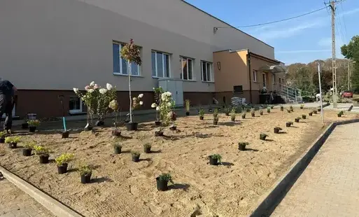 Zagospodarowanie terenu zieleni przed salą wiejską w Prochach